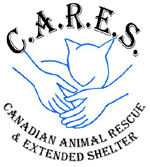 CARES Cat Shelter